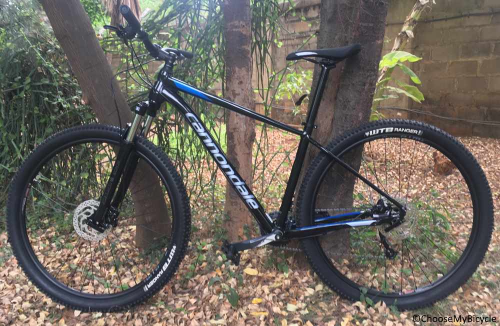 Cannondale Trail 7 29 219 Review