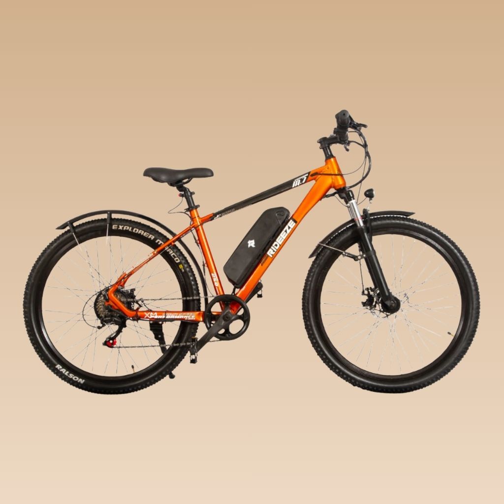 What to Check Before Buying an Electric Bike