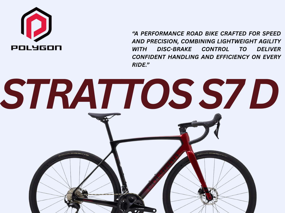 Polygon Strattos S7D (2023)