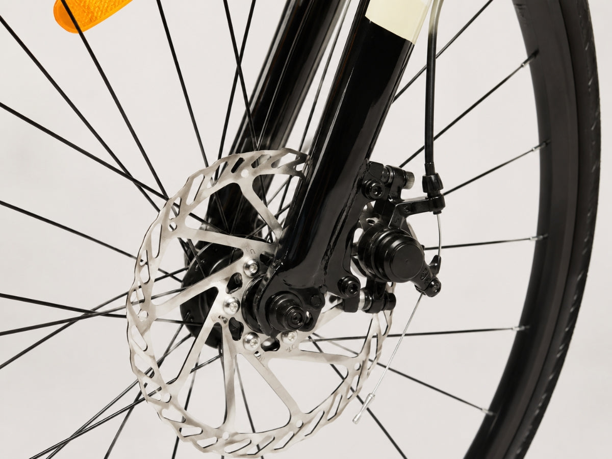 Montra Timba 700C SS D/Disc Bicycle