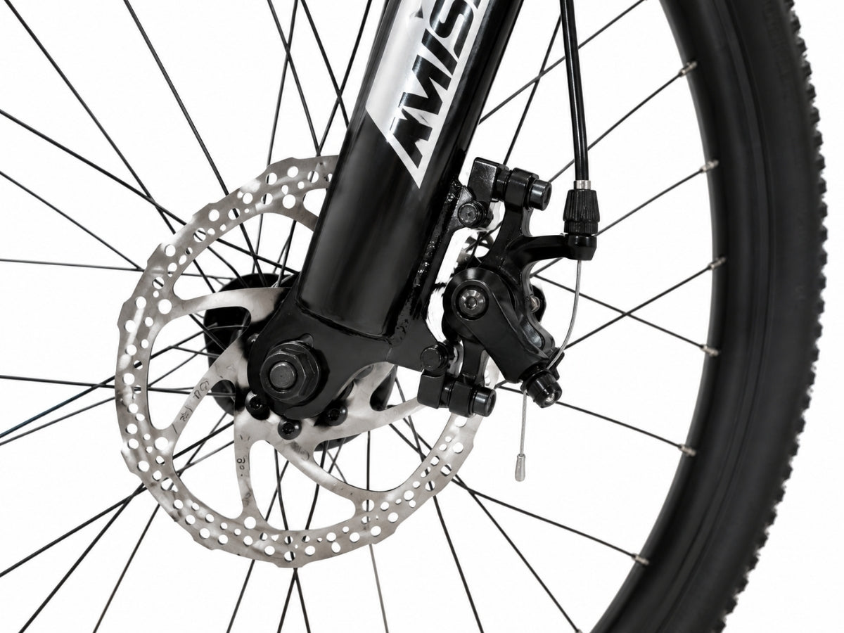 FitTrip 29 Dominator 21-Speed Bicycle
