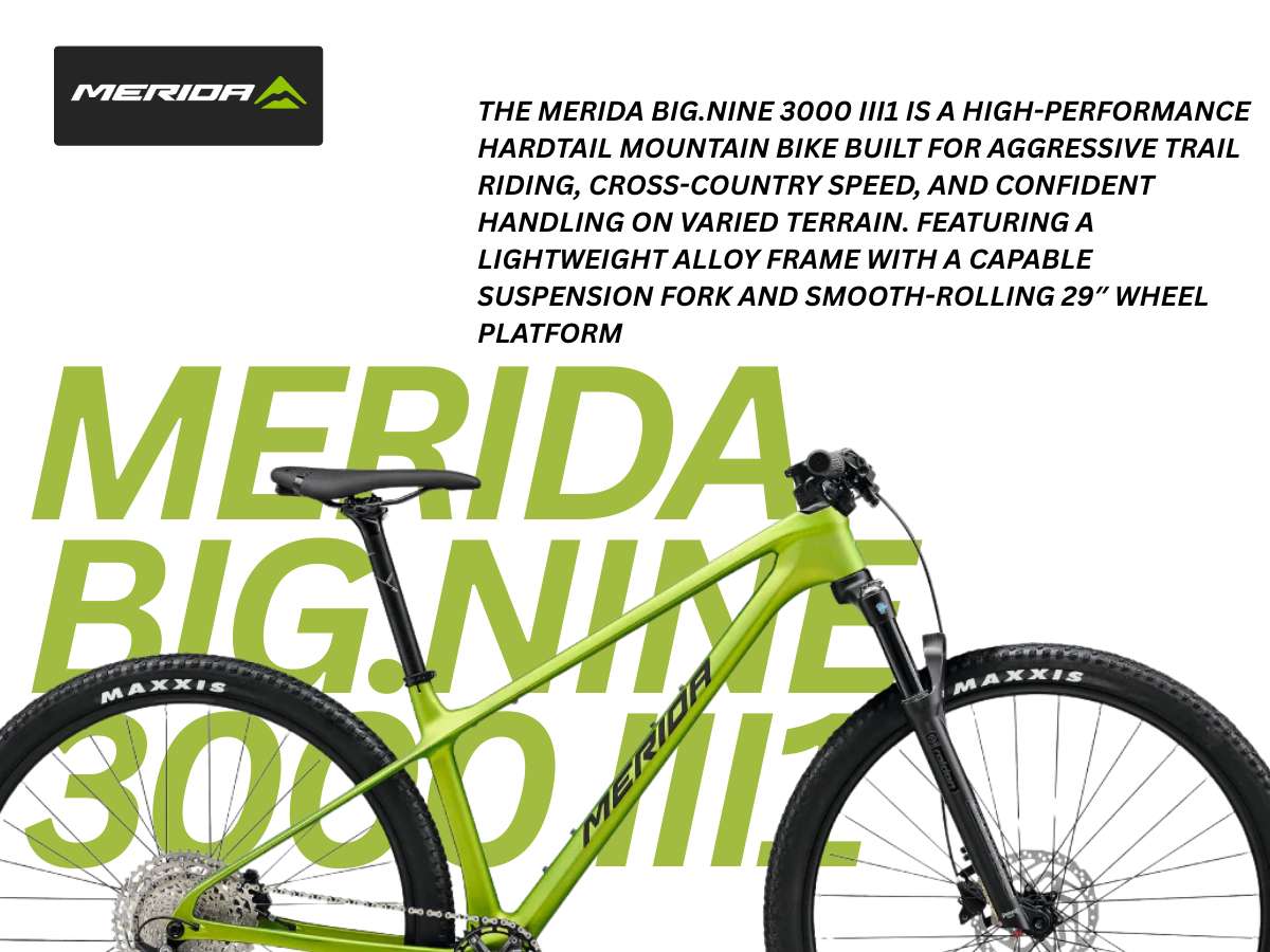 Merida Big.Nine 3000 III1