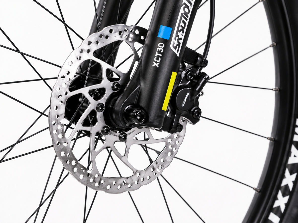 United Clovis 3.10 29"