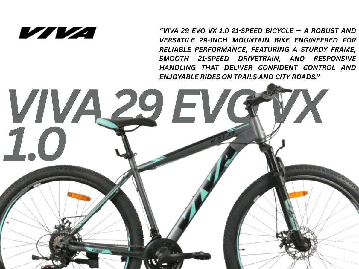 Viva 29 Evo VX 1.0 21-Speed Bicycle