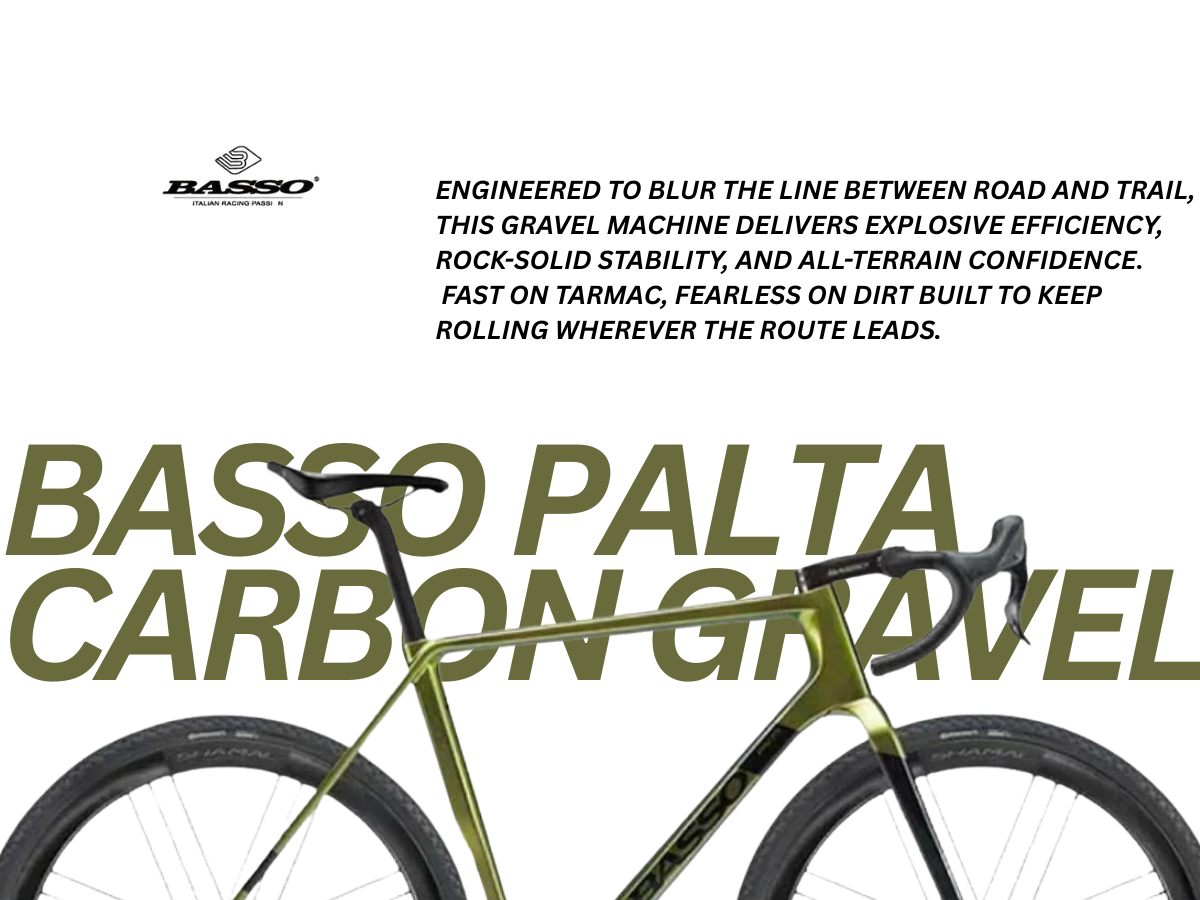 Basso Palta Carbon Gravel Campagnolo Ekar 13Spd Poseidon Size L
