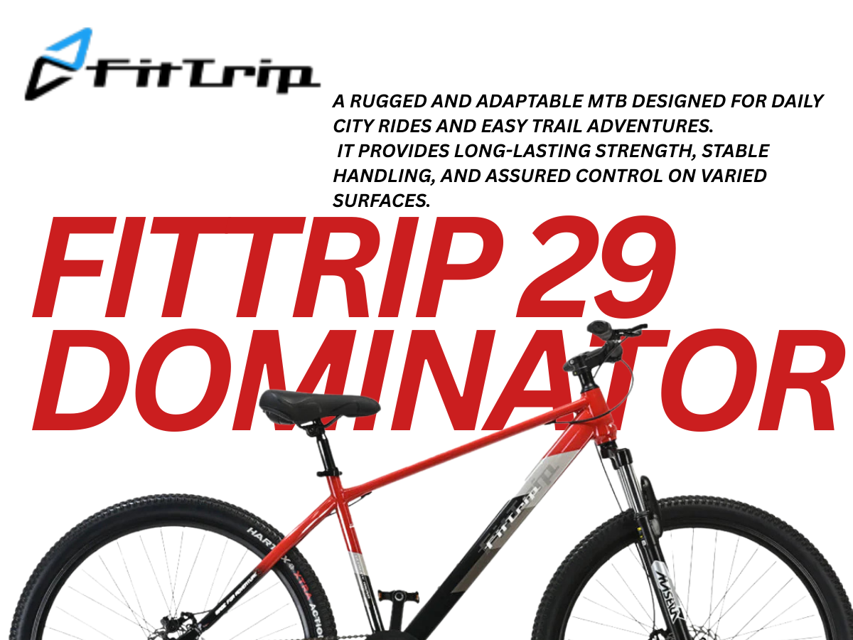 FitTrip 29 Dominator Single Speed Bicycle