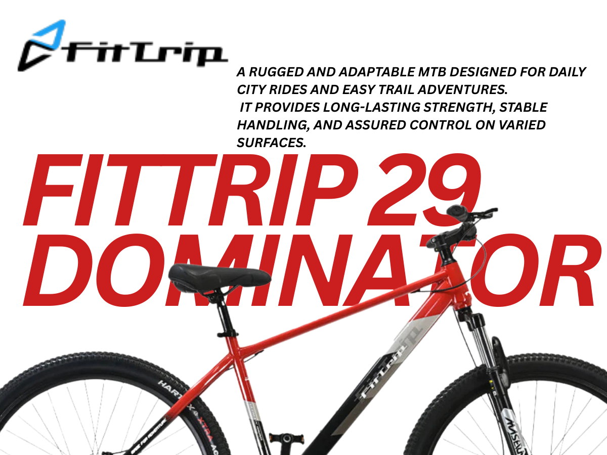 FitTrip 27.5 Dominator Single Speed Bicycle