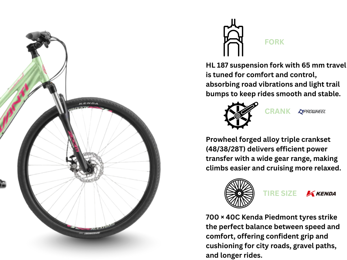 Avanti Discovery MS 1 Low