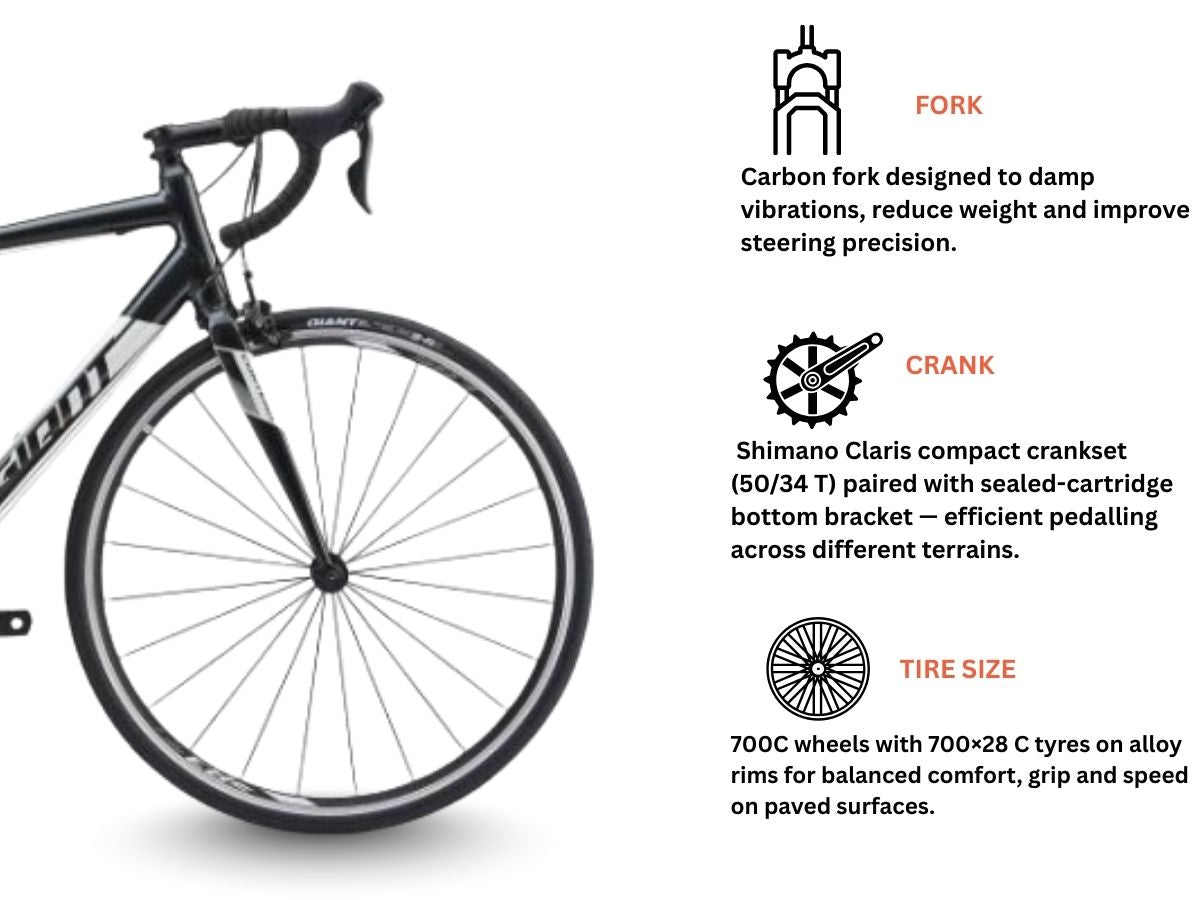 Giant Contend 3