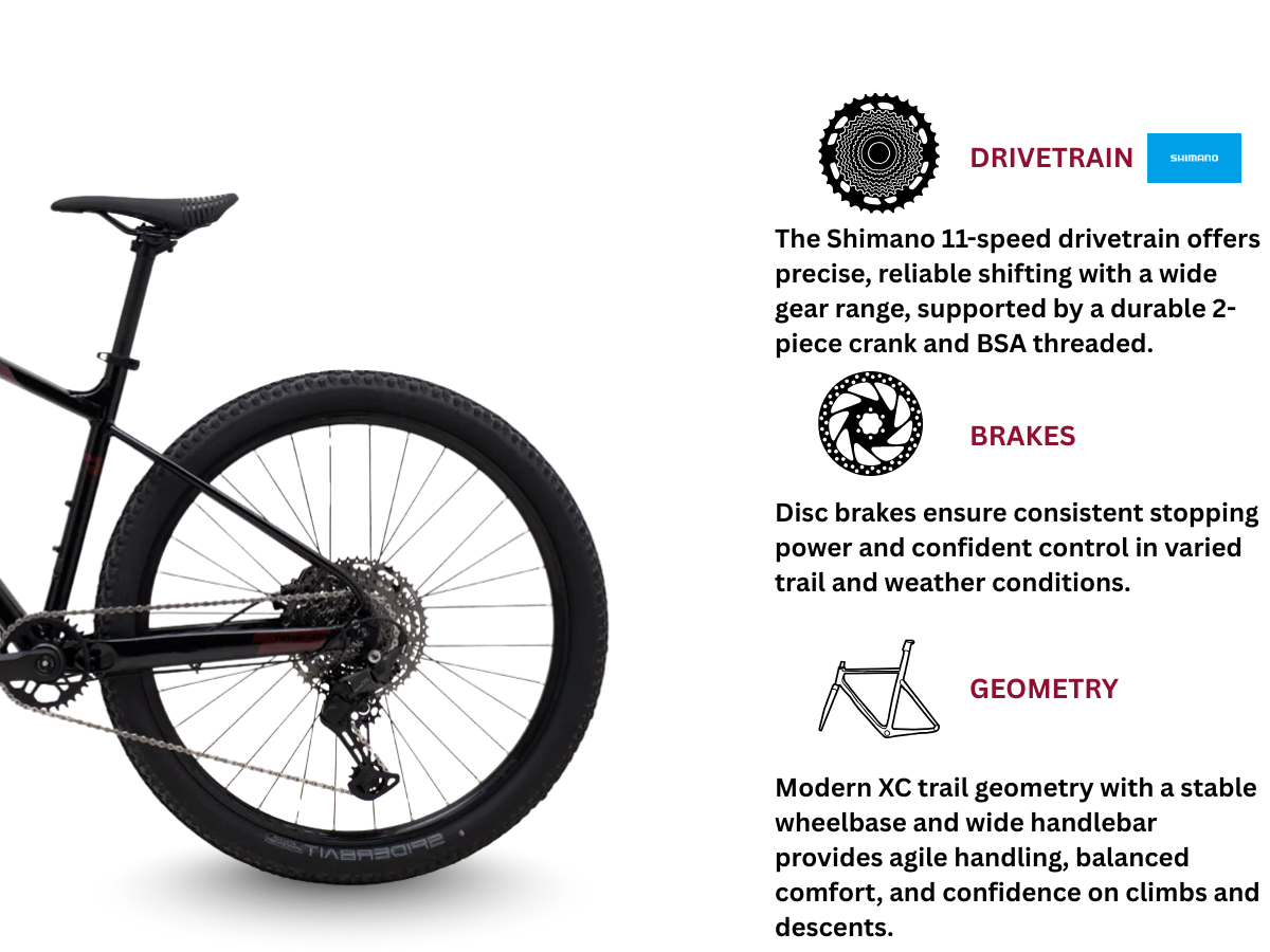 Polygon Xtrada 6 LG 29r (with Cues)