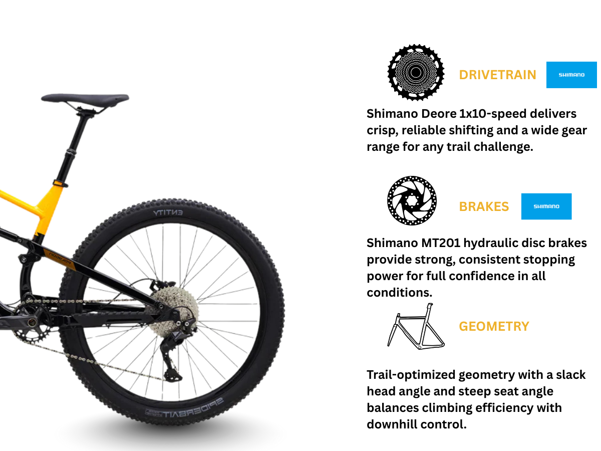 Polygon Siskiu D6  29r