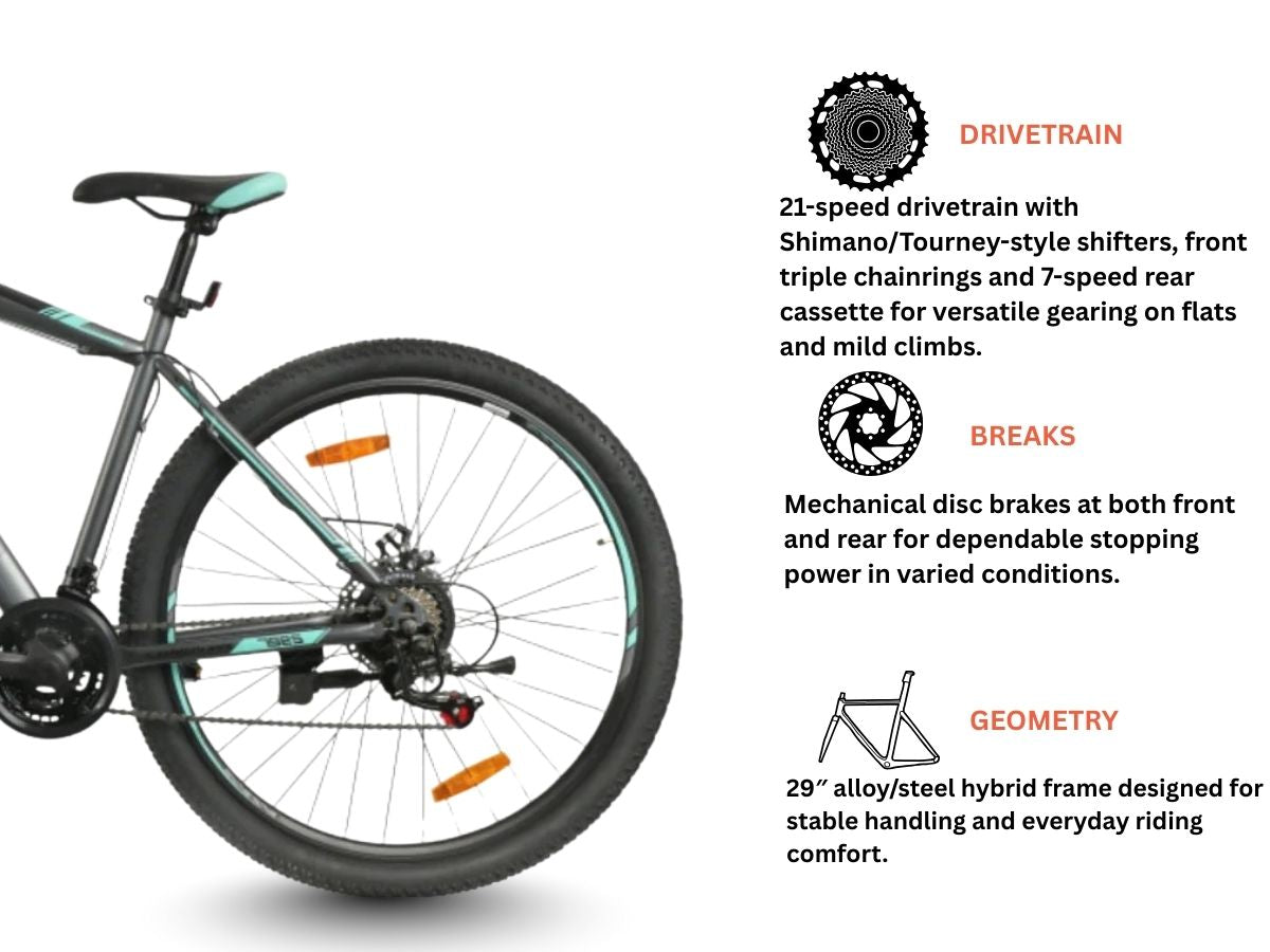 Viva 29 Evo VX 1.0 21-Speed Bicycle