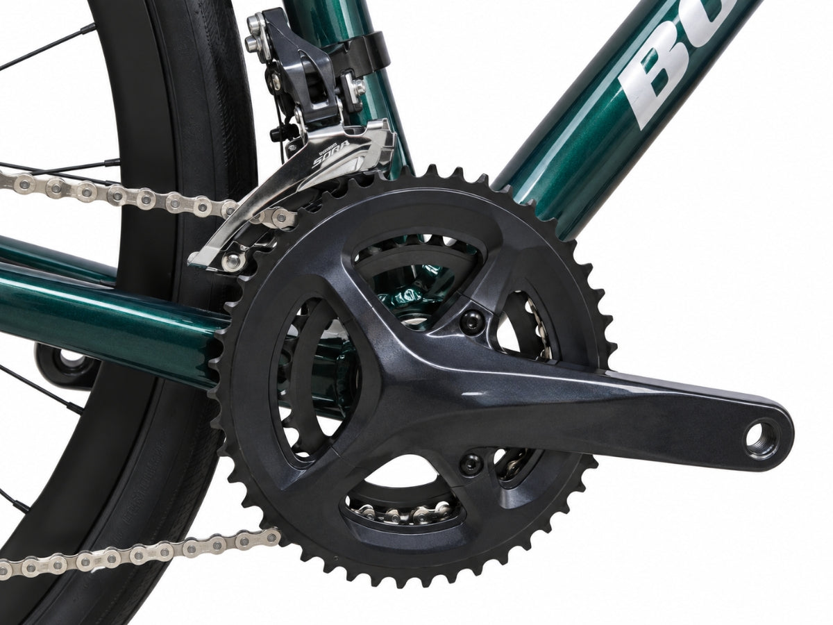 Bonzai Endurance18 Road Bike