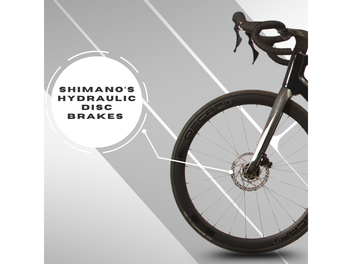 Java Siluro 6 Top Shimano 105