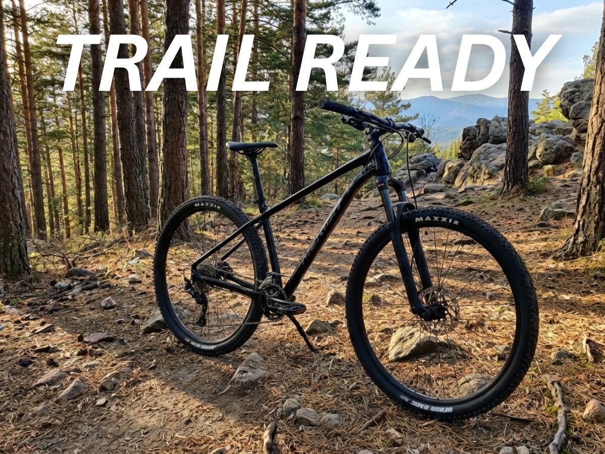 Merida Big.Nine 300 IV1