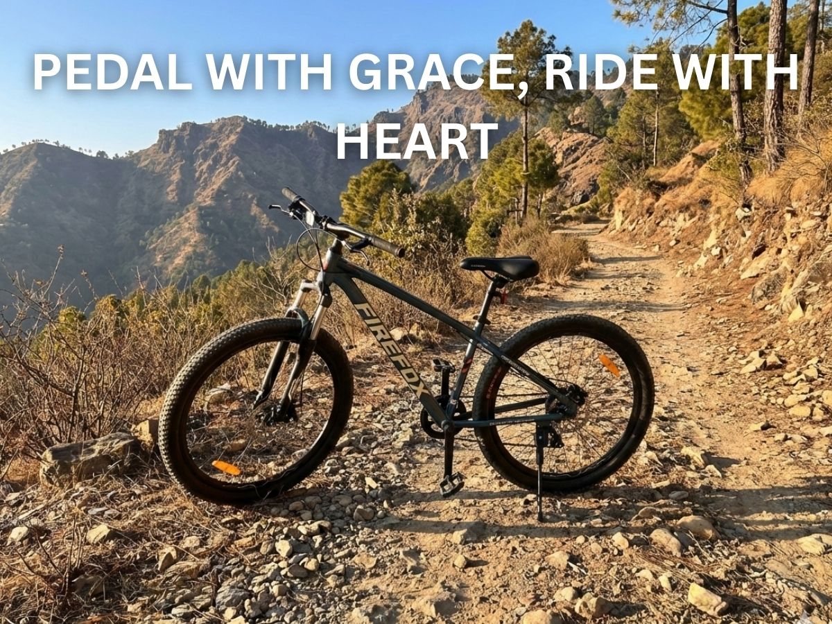 Firefox Dominator 29