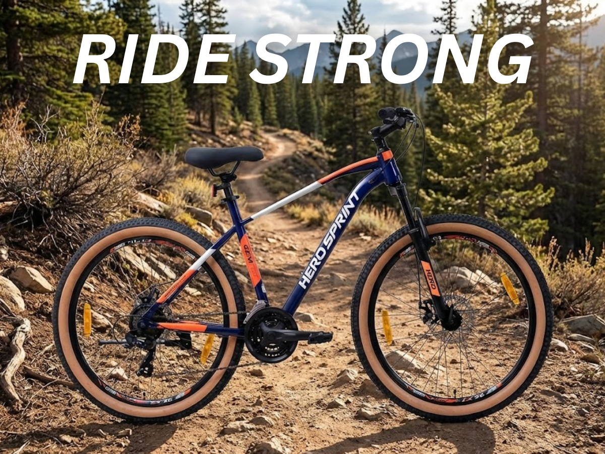 Hero 29 Flanker 21 Speed FS D/Disc (IPL) Bicycle