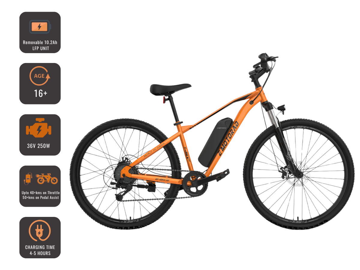 EMotorad 29 T-Rex Air