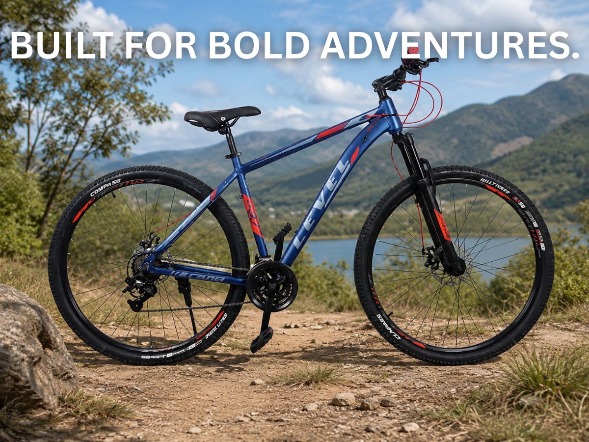Cosmic 29 Level Ascend 21-Speed Bicycle