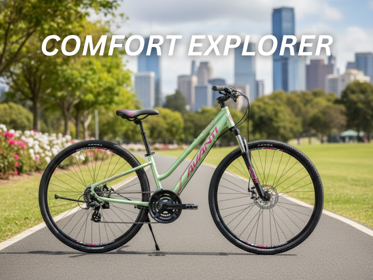 Avanti Discovery MS 1 Low