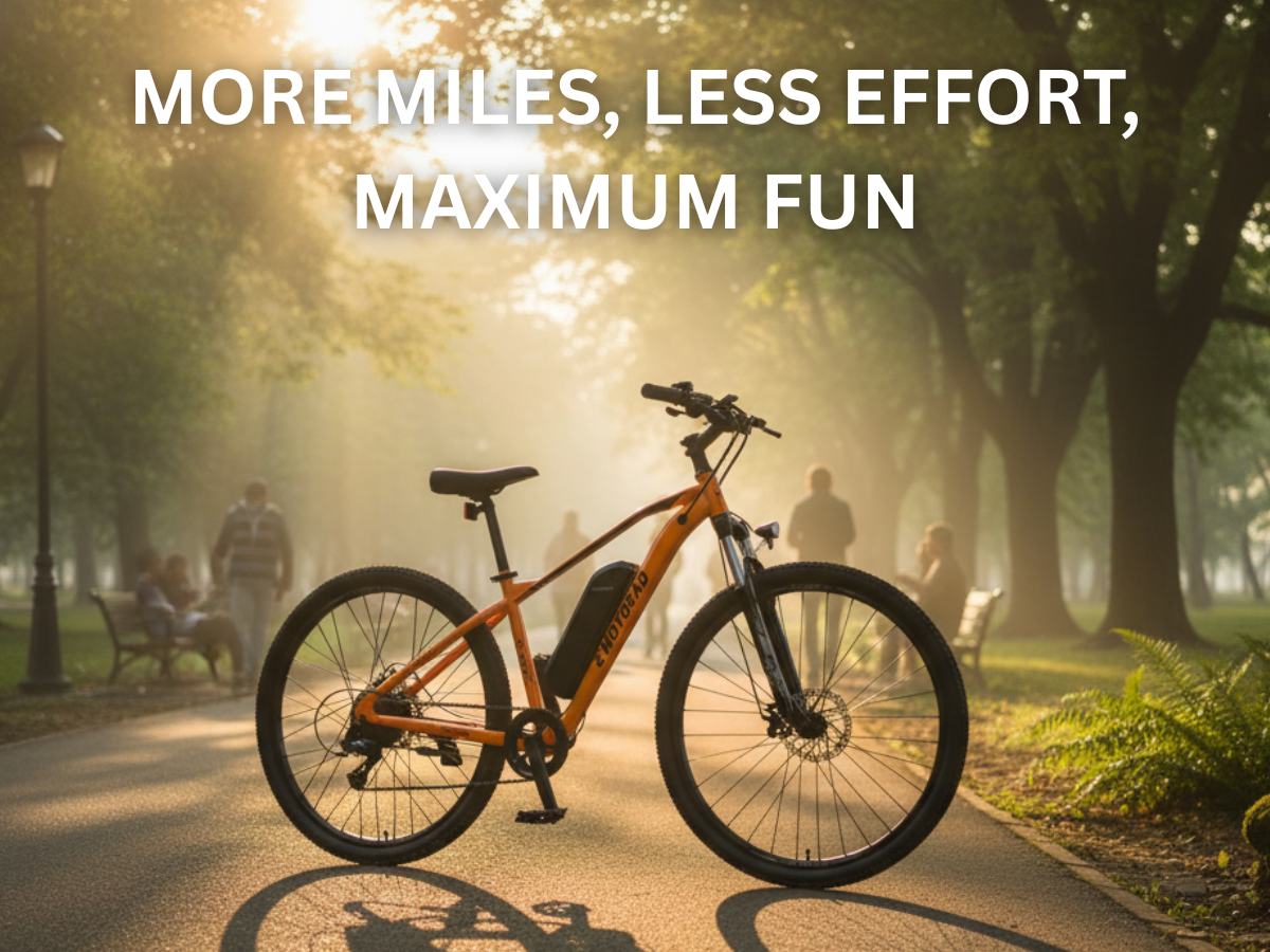 EMotorad 29 T-Rex Air