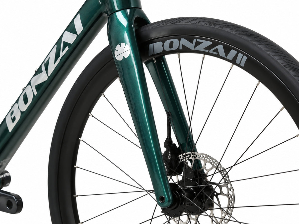 Bonzai Endurance 18 Road Bike