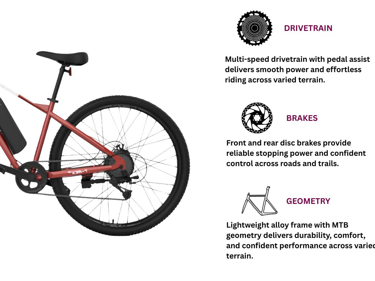 EMotorad 29 T-Rex Air