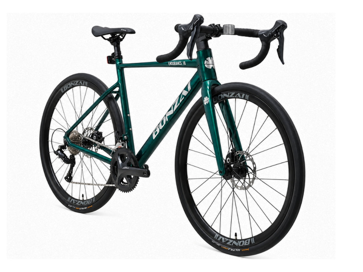 Bonzai Endurance 18 Road Bike