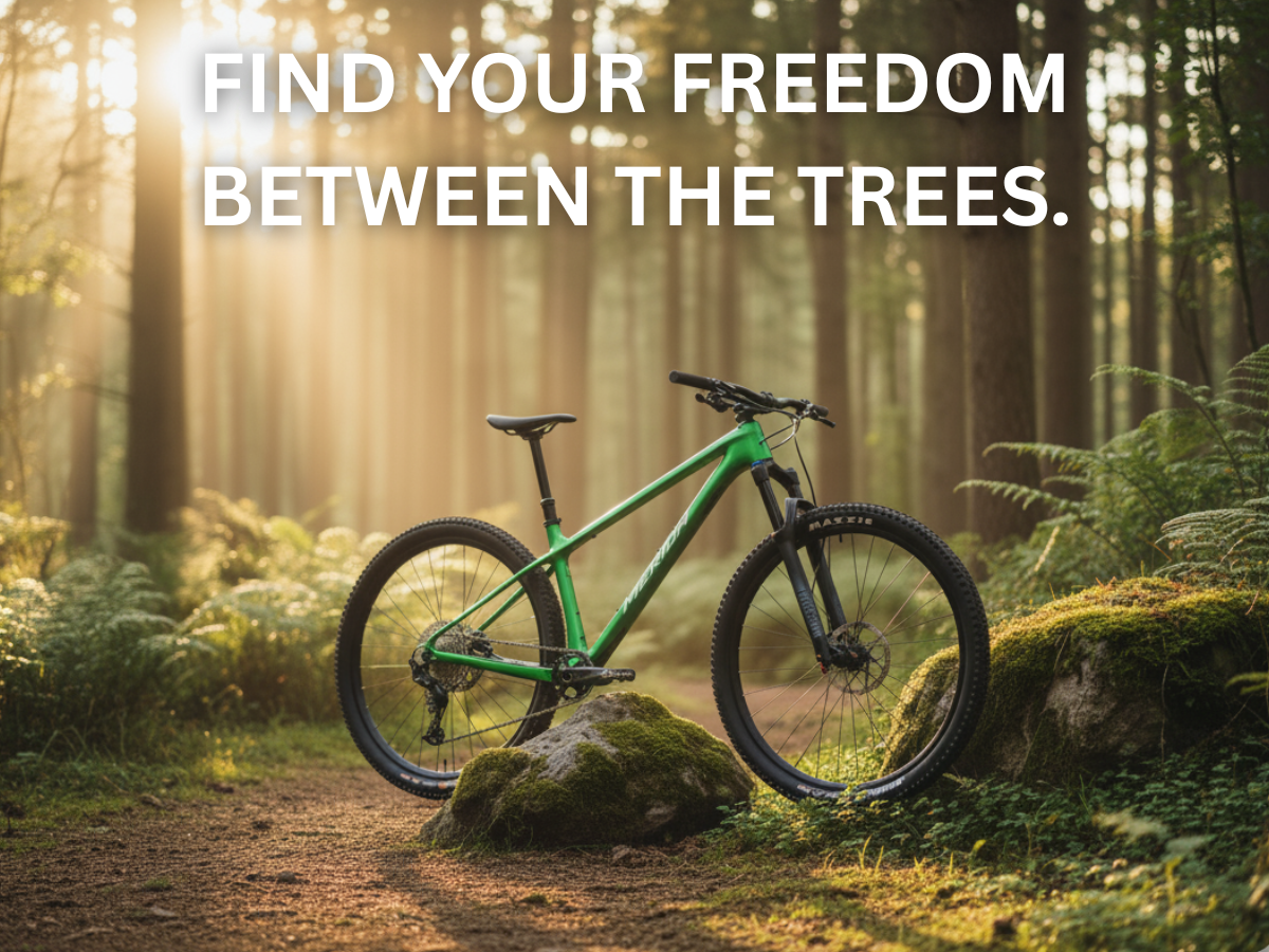 Merida Big.Nine TR Limited