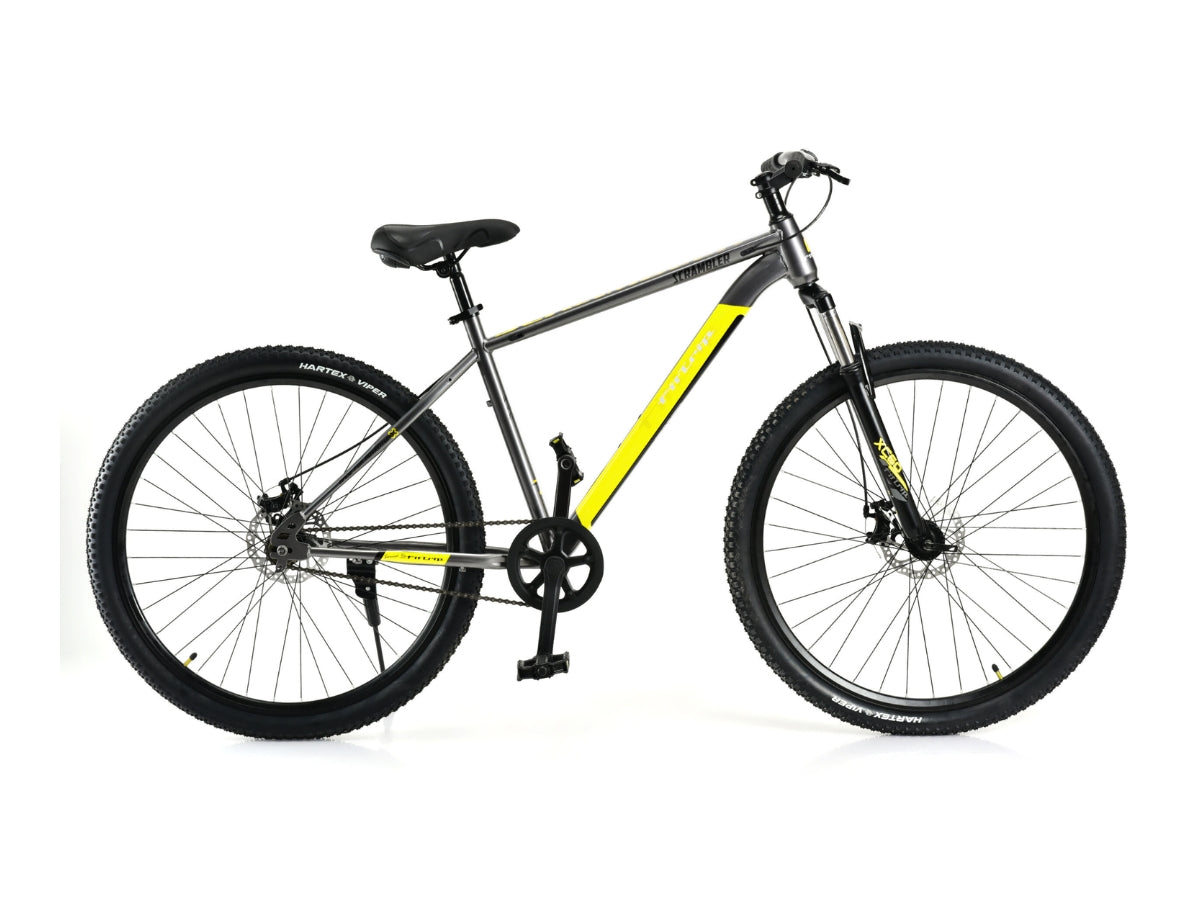 FitTrip Scrambler 29 Single Speed Bicycle