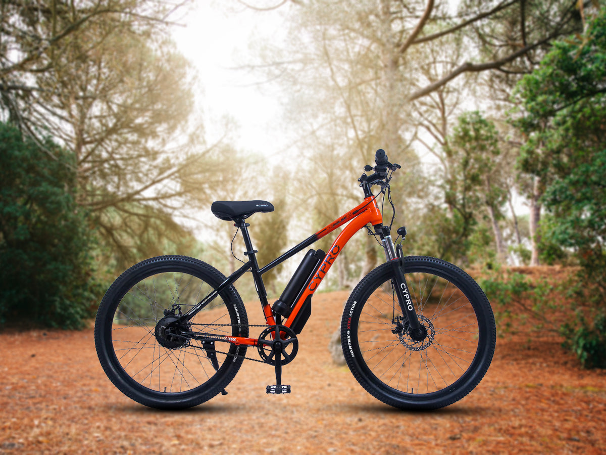Cypro 26 Pulse E-Bicycle