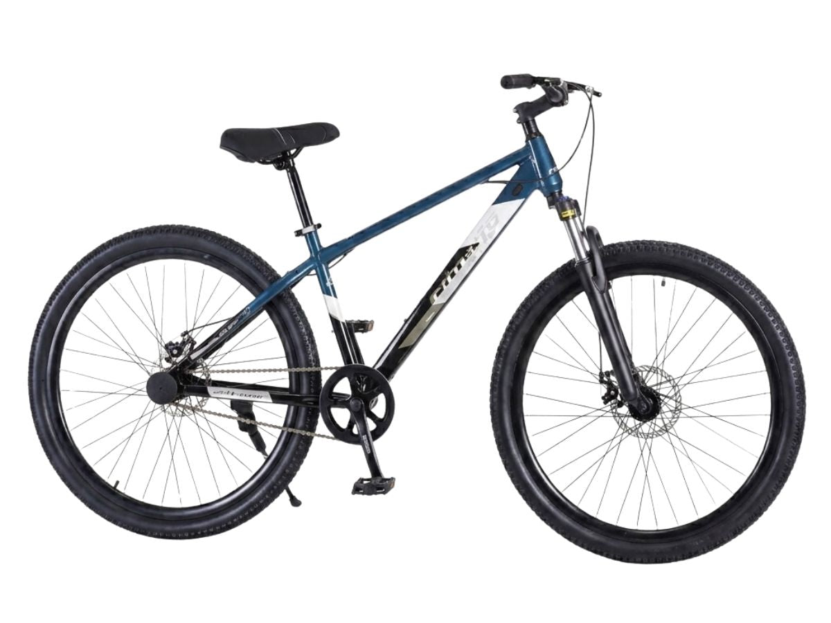 Fittrip 26 Dominator SS Bicycle