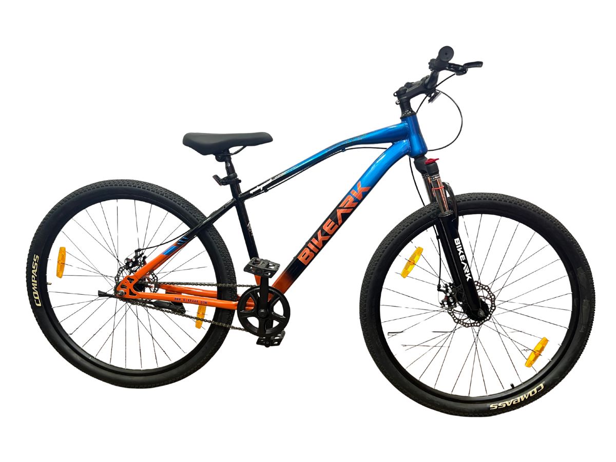 Bike Ark 29 God Speed SS Bicycle