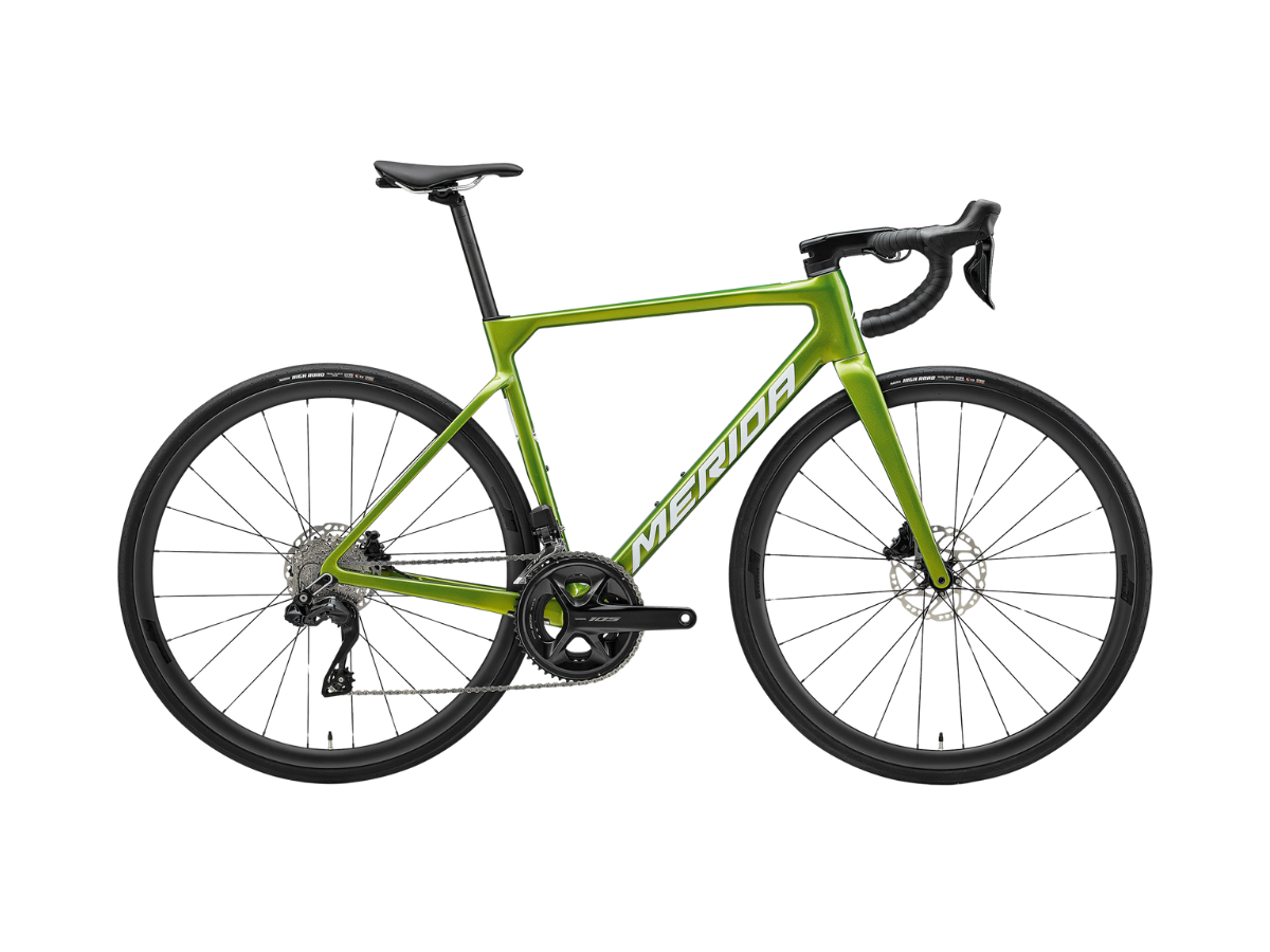 Merida scultura 6000