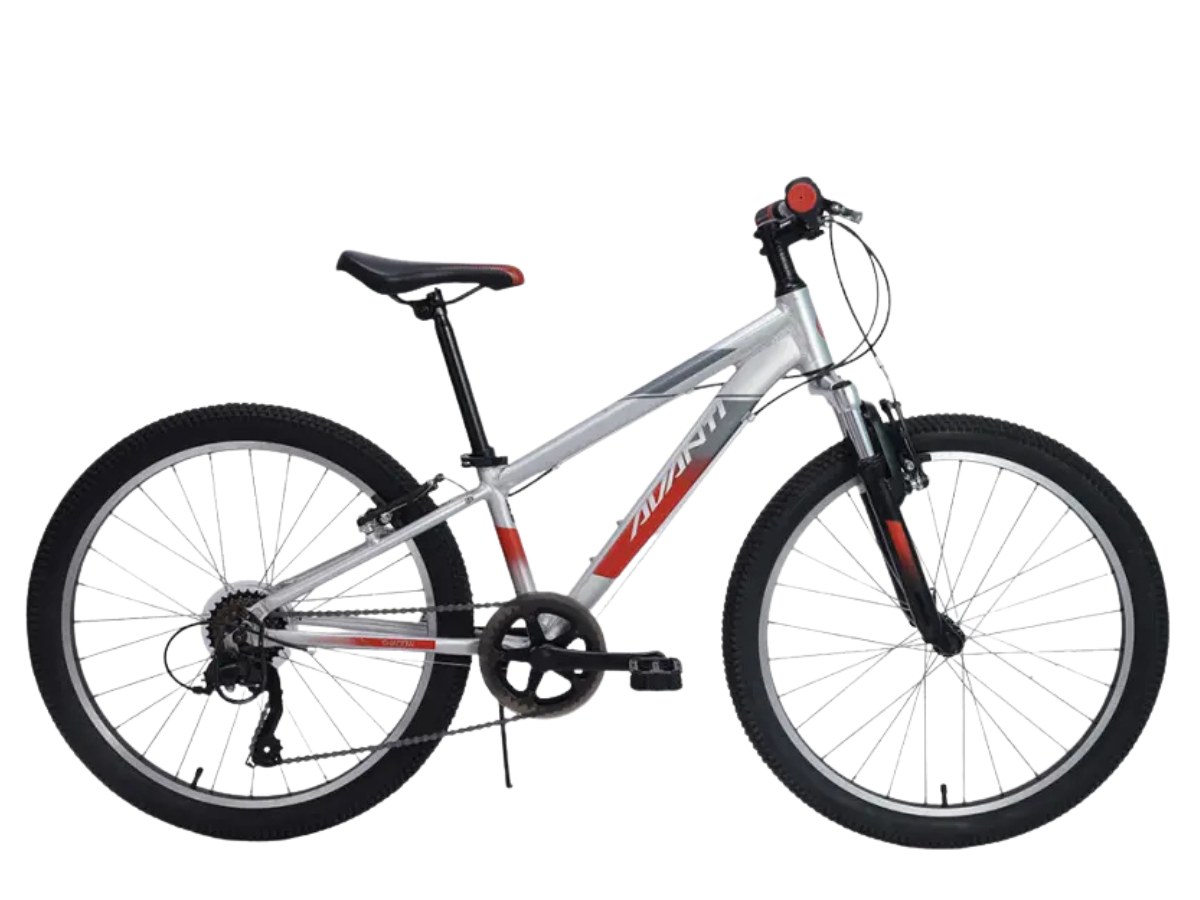 Avanti 24 Shadow 7-Speed Bicycle