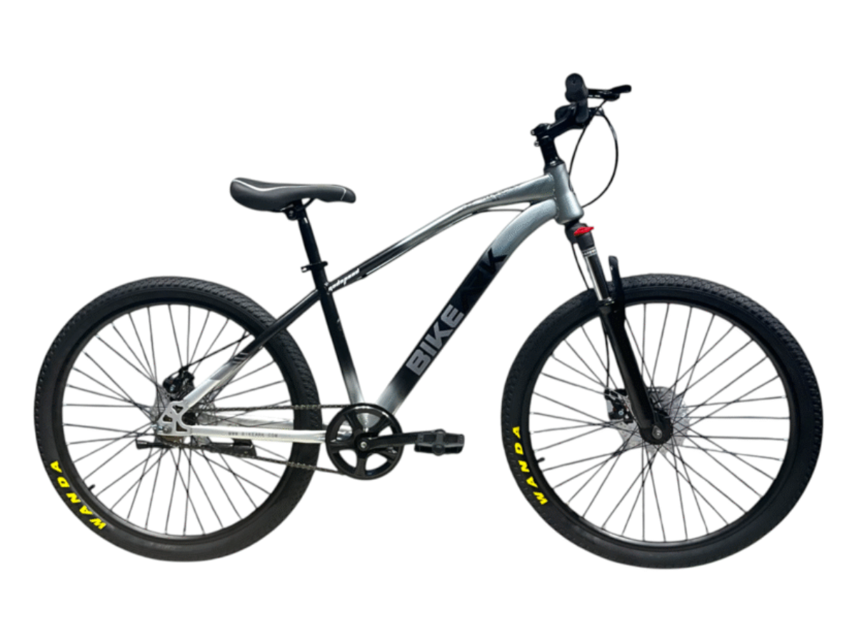 Bike Ark God Speed 26 SS Bicycle