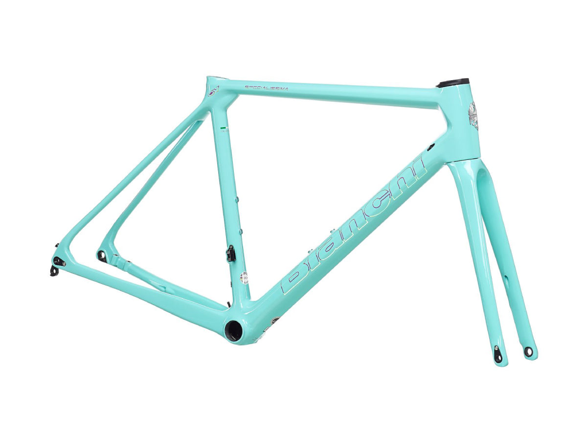 Bianchi Specialissima Frame Kit