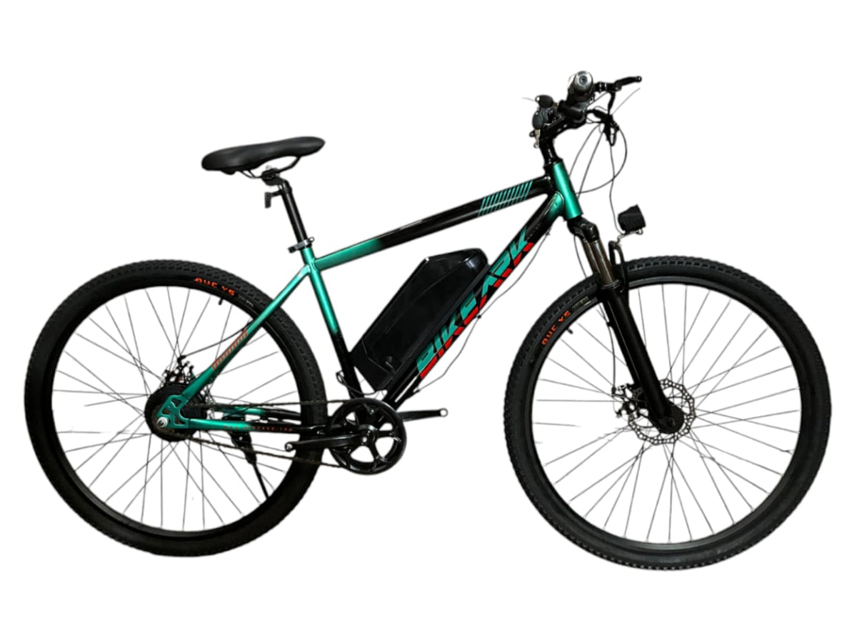 Bike Ark Dirk Electric 29