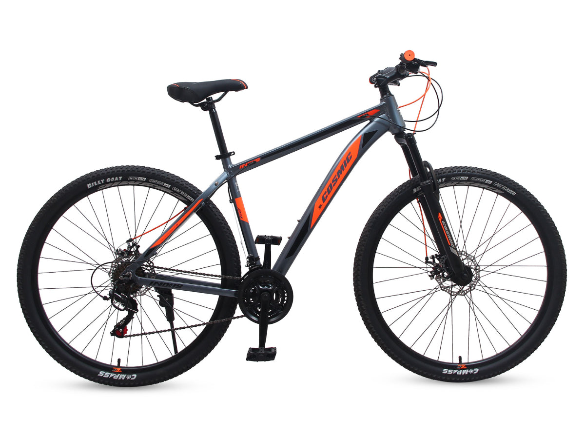 Cosmic 29 INDUS AL 24SP