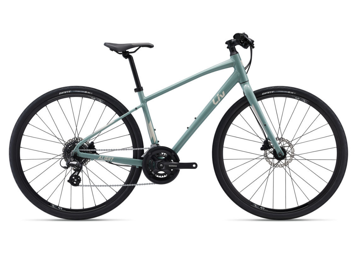 Giant Alight 2 DD Disc