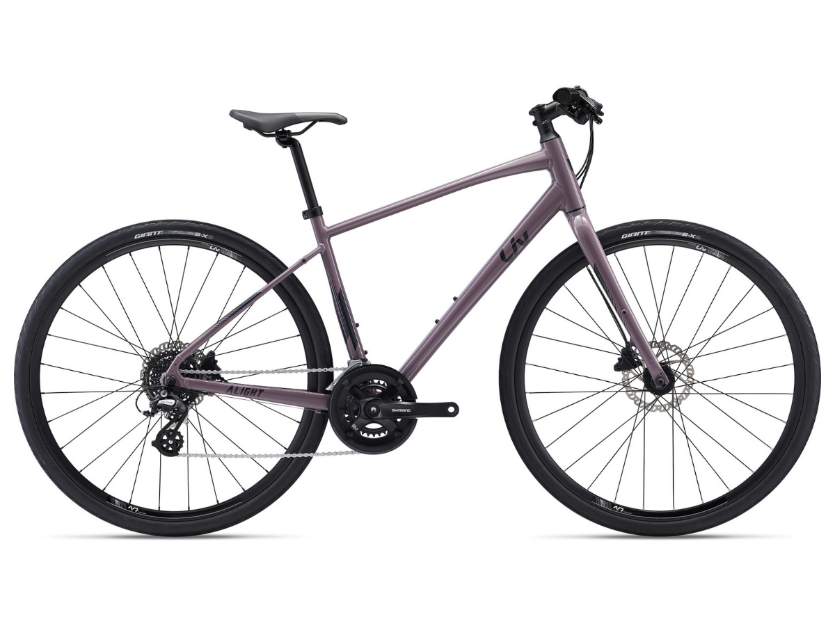Giant Alight 2 DD Disc