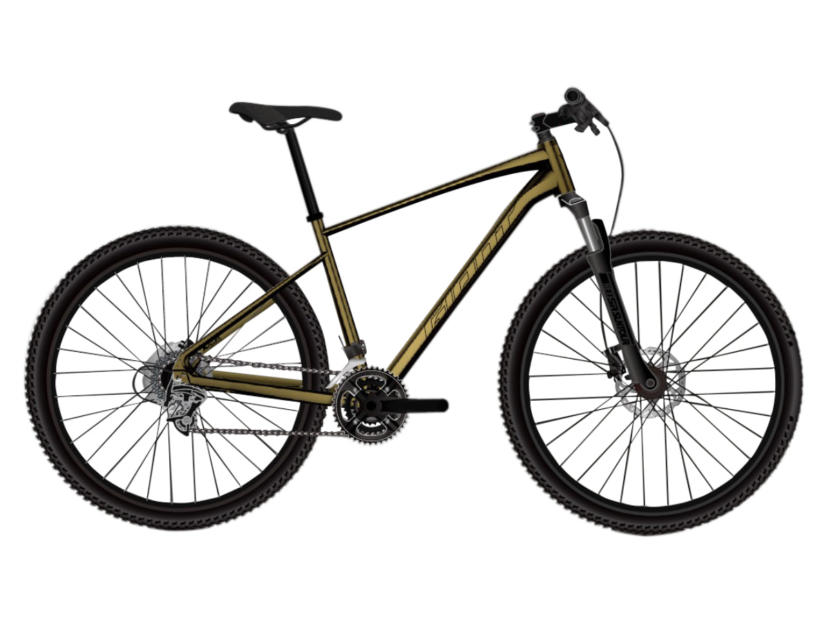 Giant Roam 2 D