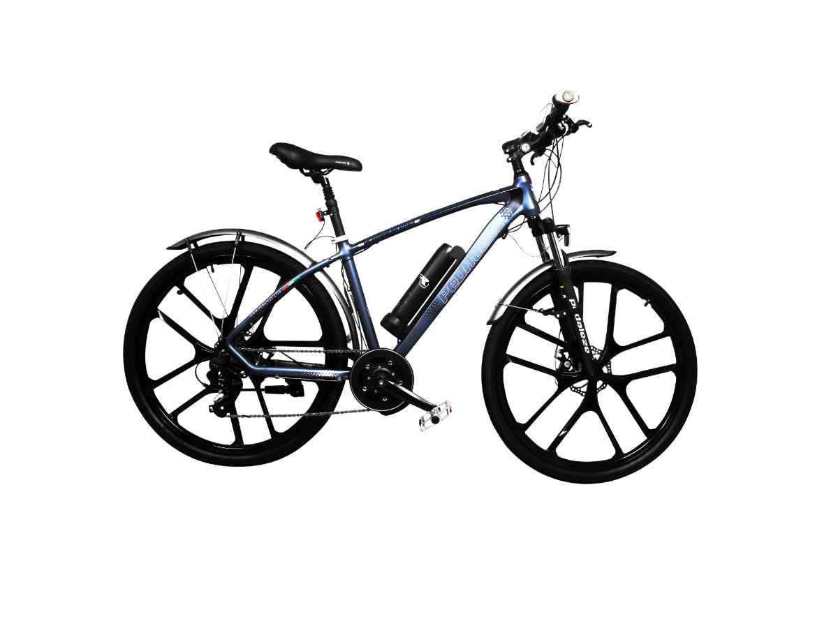 Pedaleze H2 