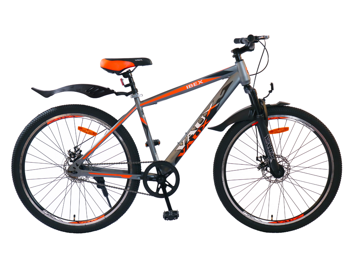 Vaux Ibex 29