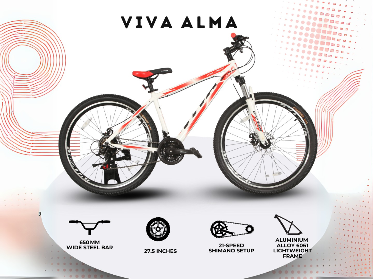 Viva Alma 27.5