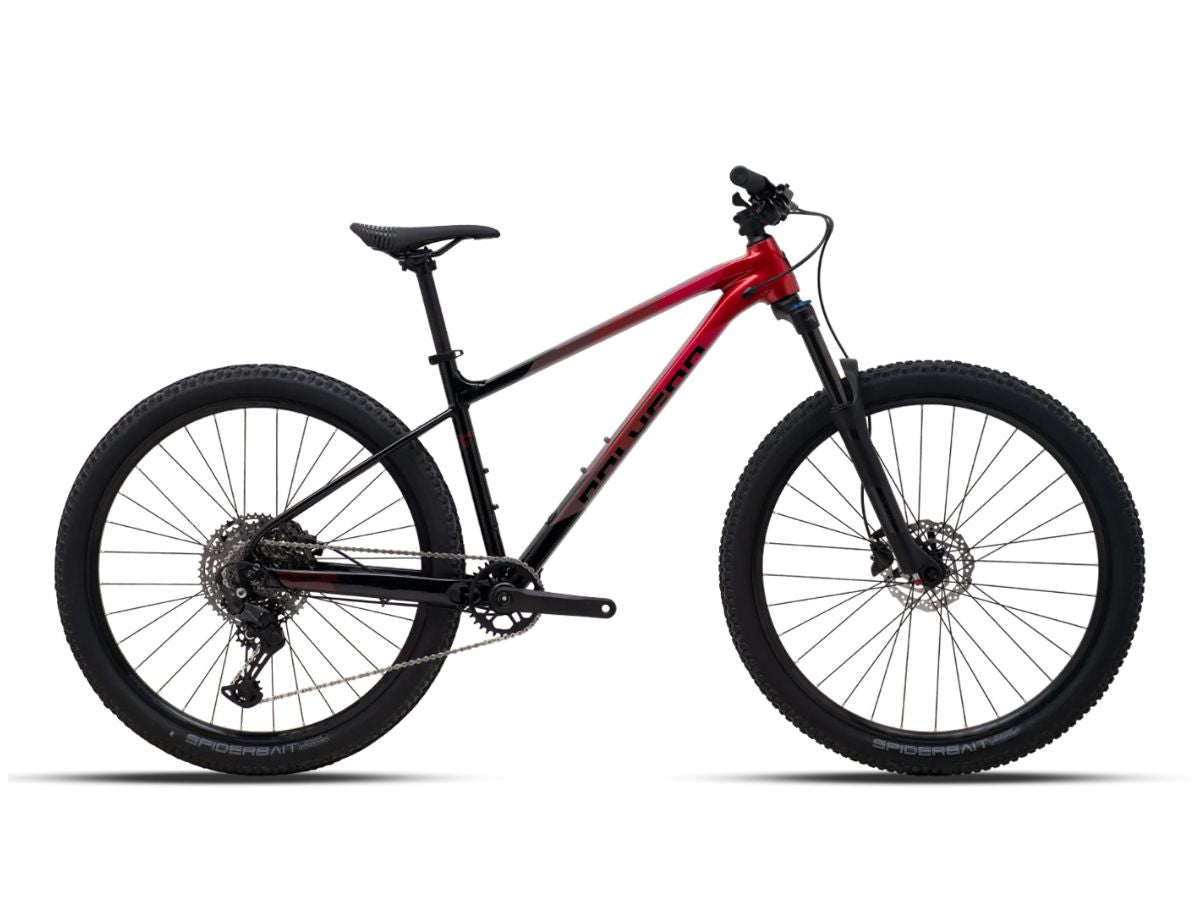 Polygon Xtrada 6 LG 27.5 (with Cues) - Text Review