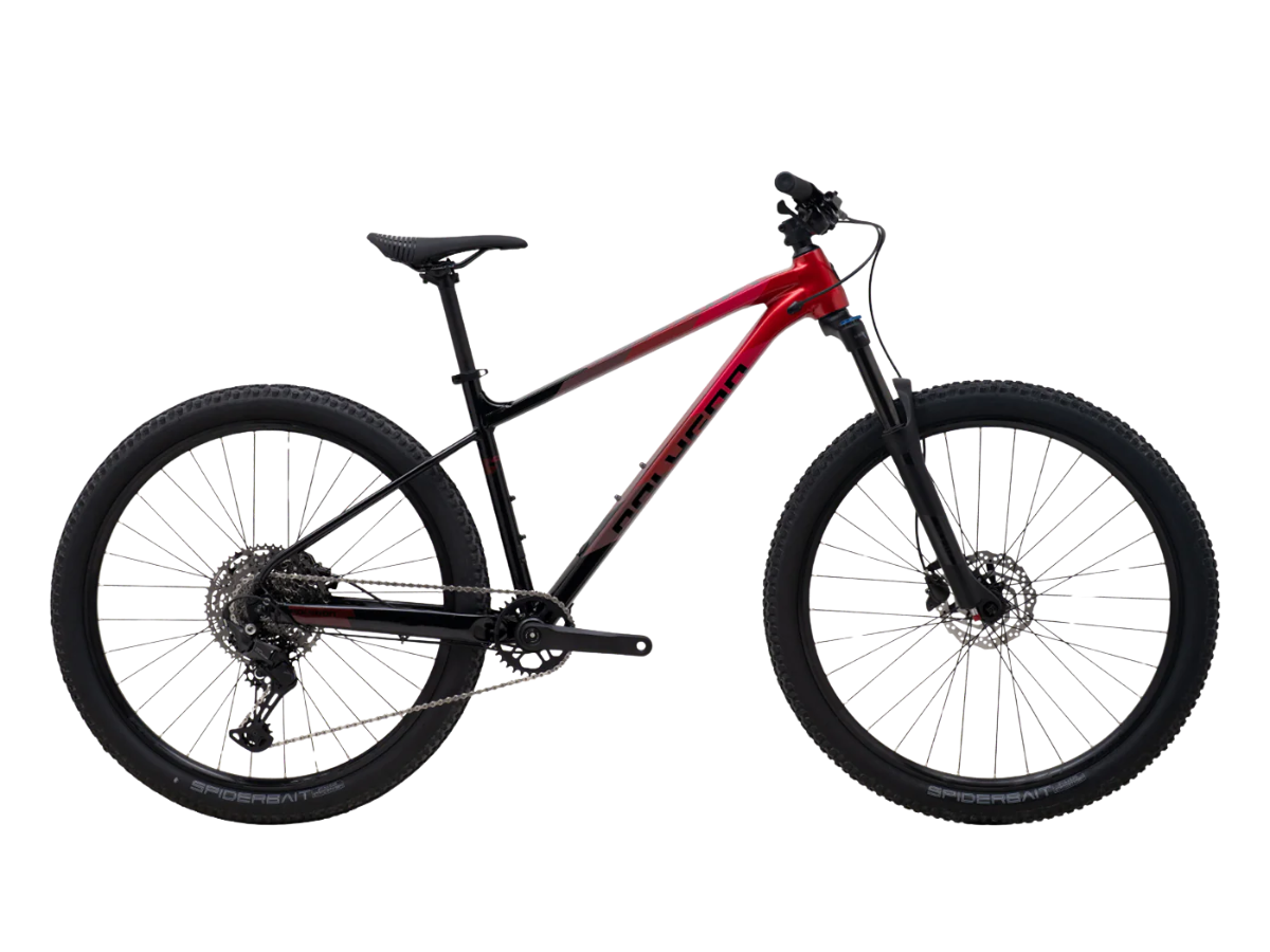 Polygon Xtrada 6 LG 29r (with Cues) -Text Review