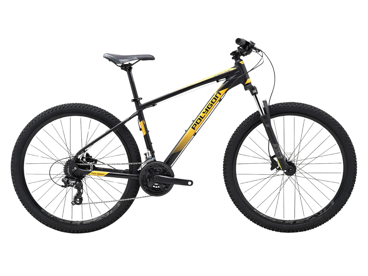 Polygon Premier 5 29 2025 - Text Review