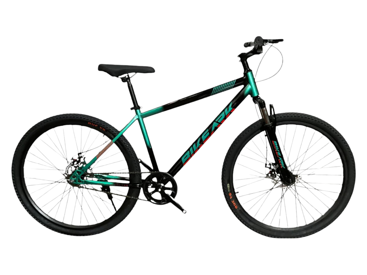 Bike Ark Dirk 29 SS - Text Review