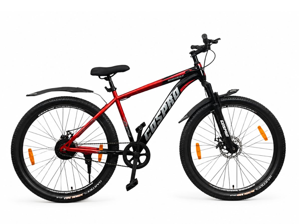 Cospro 29 Mizo Single Speed FS D/Disc Bicycle - Text Review